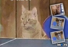 Tags: animated, gif (GIF in jon1)