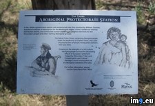 Tags: protectorate (Pict. in Yarra)