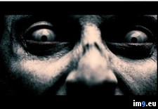 Tags: eyes, pulse (Pict. in Horror Movie Wallpapers)