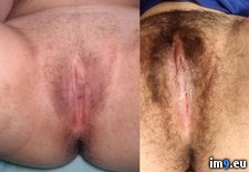 Tags: bare, hair, pussy (Pict. in My r/PUSSY favs)