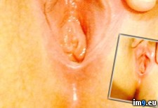 Tags: hairy, pussy, tiny (Pict. in My r/PUSSY favs)