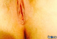 Tags: hairy, pussy, tiny (Pict. in My r/PUSSY favs)