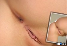 Tags: collection, huge, part, perfection, pussy, share (Pict. in My r/PUSSY favs)