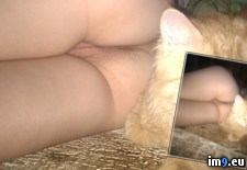 Tags: cat, pussy (Pict. in My r/PUSSY favs)