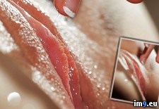 Tags: pussy, wet (Pict. in My r/PUSSY favs)