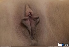 Tags: likes, pussy (Pict. in My r/PUSSY favs)
