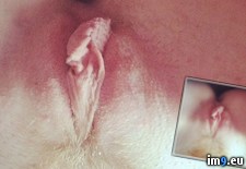 Tags: likes, pussy (Pict. in My r/PUSSY favs)