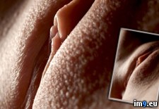 Tags: image (Pict. in Persuing For Hot)