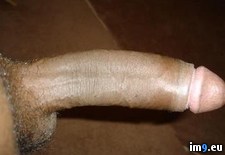 qp6756W (#Tits #Cunt #Milf #Sexygirls #Butt #Sexybabes #Amateurs #Bigboobs #Hotties #Hotgirls #Hotass #Pthc #Pinkpussy #Pussyfuck #Girlass #Tinypussy #Wilders #Nicegirls #Rando) - 14 KB Tags: amateurs, bestbabes, bestpussy, bigboobs, busty, butt, cunt, fuckyeah, girlass, girlsass, hotass, hotboobs, hotgirls, hotties, hottits, milf, nicegirls, pinkpussy, pthc, pussyfuck, pussylips, rando, sexybabes, sexybutt, sexygirls, tinypussy, tits, upskirt, wilders (Pict. in Rando-Wilders)