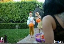 quinne-trickortreat-01 (#Quinne #Trickortreat ) - 217 KB Tags: quinne, trickortreat (Pict. in SuicideGirlsNow2)