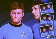 Tags: kidding, mccoy, spock (GIF in Reaction)