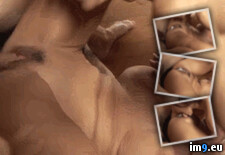 R-Xbu0 porn gif (hardcore,threesome,creampie,lesbian,felching) (#Porn #Pussy #Gif #Animated #Xxx #Hardcore #Cum #Fucking #Orgasmgif #Bestgif #Cumgif #Creampiegif #Pussycreampie #Pussycreampiegif #Felching) - 2 MB Tags: animated, bestgif, creampie, creampiegif, cum, cumgif, felching, fucking, gif, hardcore, hardcoregif, lesbian, orgasm, orgasmgif, porn, porngif, pussy, pussycreampie, pussycreampiegif, pussygif, sexgif, threesome, xxx (GIF in Best Porn GIF-s List)