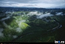 Tags: forest, rain (Pict. in National Geographic Photo Of The Day 2001-2009)