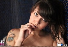 rambo-bunnydip-39 (#Rambo #Bunnydip ) - 132 KB Tags: bunnydip, rambo (Pict. in SuicideGirlsNow2)