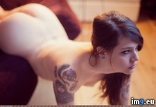 Tags: rambo, transatlantic (Pict. in SuicideGirlsNow2)