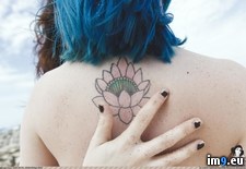 Tags: allsummerlong, emo, nature, porn, ramen, sexy, softcore, suicidegirls, tatoo, tits (Pict. in SuicideGirlsNow)