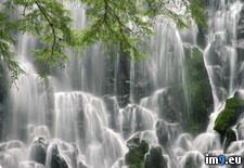 Tags: falls, hood, mount, oregon, ramona, wilderness (Pict. in Beautiful photos and wallpapers)