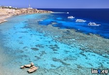 Tags: beach, egypt, ras, sharm, sheikh, sid (Pict. in Beautiful photos and wallpapers)