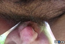 Tags:  (Pict. in Cunt Juicer)