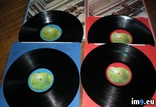 Red and Blue 1 (#Red #Blue ) - 542 KB Tags: blue, red (Pict. in new 1)