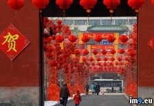 Tags: beijing, china, ditan, lanterns, park, red (Pict. in Beautiful photos and wallpapers)