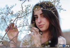 Tags: emo, girls, reed, rhiannon, sexy, softcore, suicidegirls, tatoo, tits (Pict. in SuicideGirlsNow)