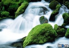 Tags: cascade, jefferson, mount, oregon, refreshing (Pict. in Beautiful photos and wallpapers)