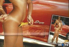 retro babe 118-800 (#Nude #Blonde #Babe #Vintage #Retro) - 162 KB Tags: babe, blonde, nude, retro, vintage (Pict. in retro babes)