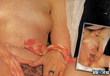 Tags: babe, retro, softcore, tits (Pict. in retro babes)