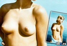 Tags: babe, babes, blonde, nude, retro, tits (Pict. in retro babes)