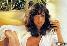 retro babe 384 (#Hot #Babe #Retro) - 240 KB Tags: babe, hot, retro (Pict. in retro babes)