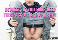 retw ( ) - 99 KB Tags: (Pict. in Fag with captions)