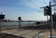 Tags: rhein (Pict. in Things to show)