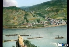 Tags: assmannshausen, cargo, foreground, rhine, river, ships, valley, vineyards (Pict. in Branson DeCou Stock Images)