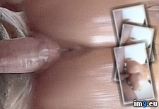 Tags: ass, furious, jiggle, oily, ride, riley (GIF in Addictive Hobby)