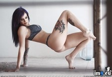 Tags: girls, hot, porn, ripley, sexy, softcore, suicidegirls, tits (Pict. in SuicideGirlsNow)