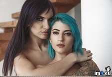ripley-stairwaytoheaven-19 (#Hot #Sexy #Boobs #Suicidegirls #Tatoo #Stairwaytoheaven #Ripley) - 86 KB Tags: boobs, girls, hot, nature, ripley, sexy, softcore, stairwaytoheaven, suicidegirls, tatoo (Pict. in SuicideGirlsNow)