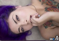 Tags: boobs, girls, hot, purpleandtea, risk, sexy, softcore, suicidegirls, tits (Pict. in SuicideGirlsNow)