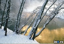 Tags: river, winter (Pict. in 1920x1200 wallpapers HD)