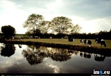 Tags: river, thames (Pict. in National Geographic Photo Of The Day 2001-2009)