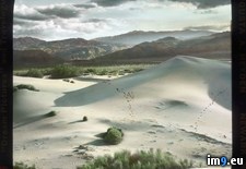Tags: california, county, dunes, indio, riverside, sand (Pict. in Branson DeCou Stock Images)