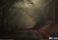 Tags: dark, foggy, leading, morning, photo, road, wallpaper, woods (Pict. in Rehost)