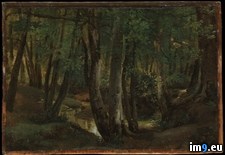 Tags: interior, leprince, opold, pierrefitte, robert, wood (Pict. in Metropolitan Museum Of Art - European Paintings)