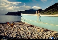 Tags: rocky, shore (Pict. in National Geographic Photo Of The Day 2001-2009)