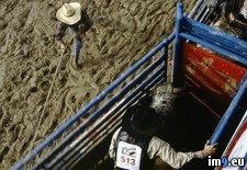 Tags: chute, rodeo (Pict. in National Geographic Photo Of The Day 2001-2009)