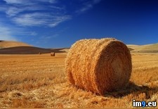 Tags: harvesting, rolls (Pict. in 1920x1200 wallpapers HD)