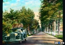 Tags: appia, appian, avenue, car, lined, rome, tree, via, way (Pict. in Branson DeCou Stock Images)