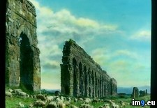 Tags: aqueduct, claudian, general, grazing, rome, ruins, sheep (Pict. in Branson DeCou Stock Images)