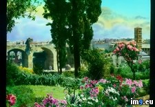 Tags: farnese, forum, gardens, hill, palatine, rome (Pict. in Branson DeCou Stock Images)