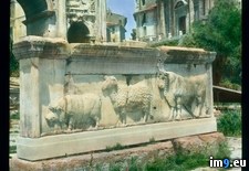 Tags: animals, arch, forum, livestock, panel, relief, romanum, rome, sculpture, septimius, severus (Pict. in Branson DeCou Stock Images)
